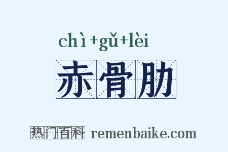 赤骨肋是什么意思的图片